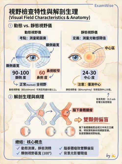 驗光生 - 視覺功能、視野與電生理檢查 - AI 圖文解析預覽