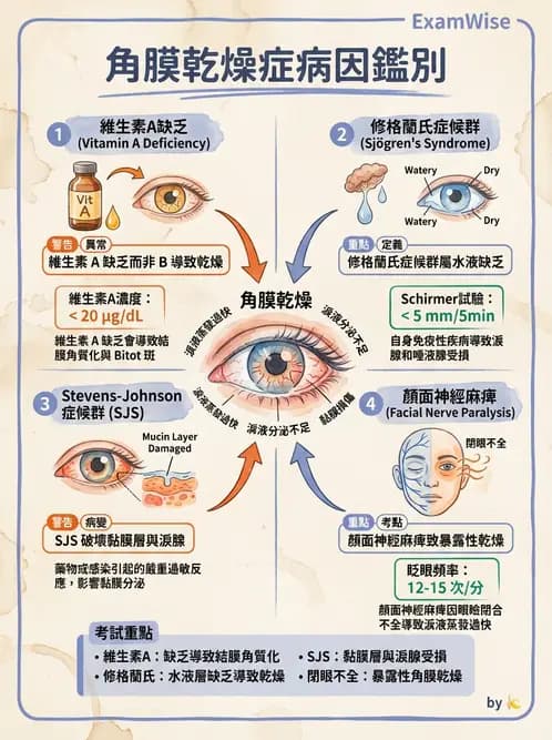 驗光生 - 角膜、結膜與眼前段疾病 - AI 圖文解析預覽
