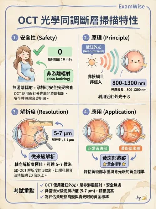 驗光生 - 視覺功能、視野與電生理檢查 - AI 圖文解析預覽