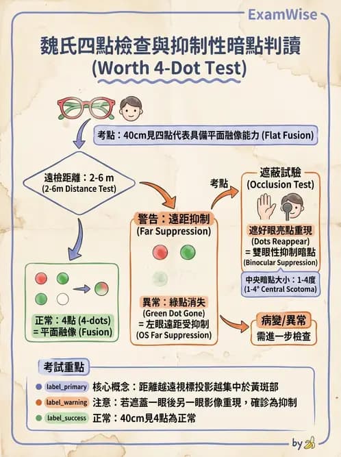 驗光生 - 雙眼感知與融像檢查 - AI 圖文解析預覽