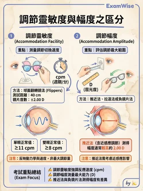 驗光生 - 調節機制與幅度量測原理 - AI 圖文解析預覽