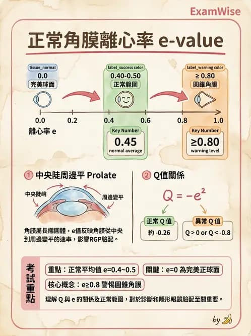 驗光生 - 眼前段檢查與角膜測量 - AI 圖文解析預覽