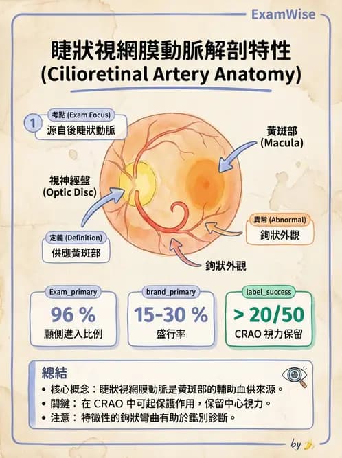 驗光生 - 眼部血液供應、脈絡膜與玻璃體 - AI 圖文解析預覽