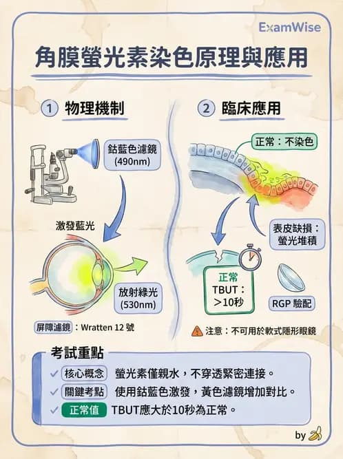 驗光生 - 青光眼與水晶體疾病 - AI 圖文解析預覽