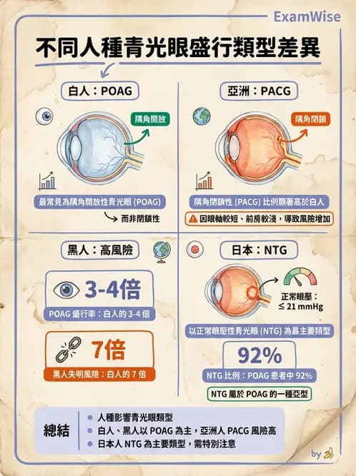 驗光生 - 青光眼與水晶體疾病 - AI 圖文解析預覽