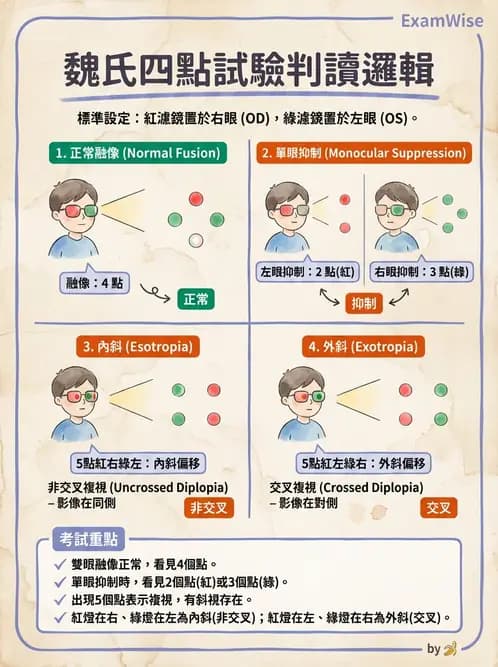驗光生 - 雙眼感知與融像檢查 - AI 圖文解析預覽