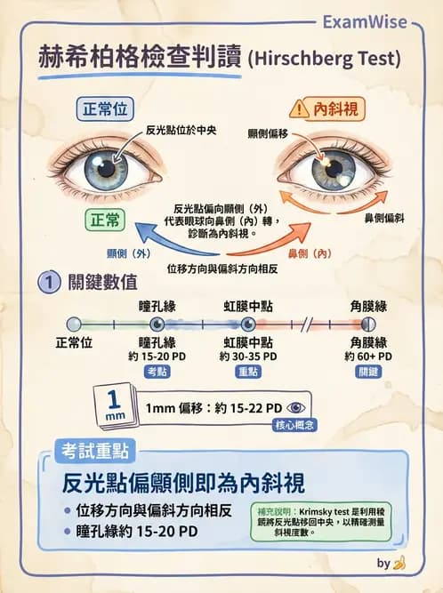 驗光生 - 眼位偏斜檢查 - AI 圖文解析預覽