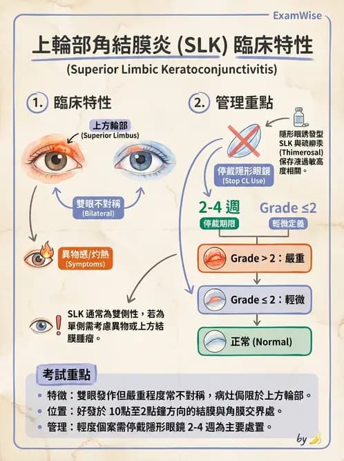 驗光生 - 角膜表面機械性損傷與染色 - AI 圖文解析預覽