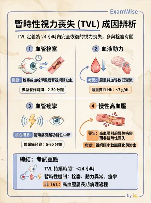 驗光生 - 全身性疾病眼部表現與神經眼科 - AI 圖文解析預覽