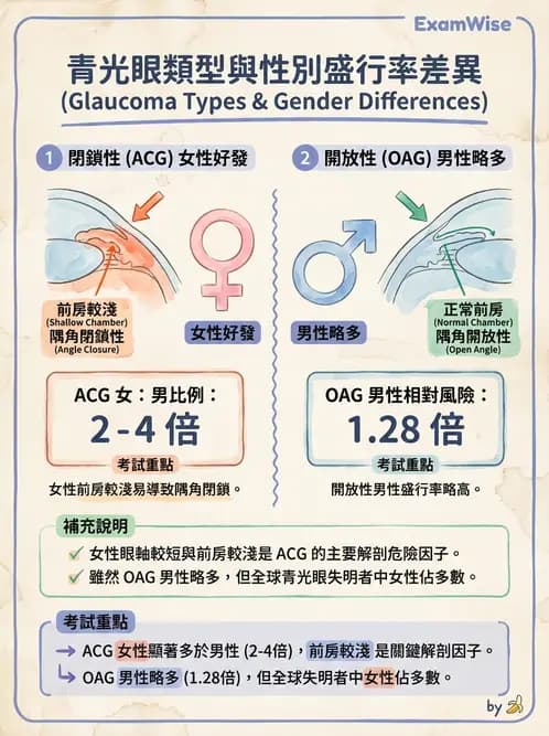 驗光生 - 青光眼與水晶體疾病 - AI 圖文解析預覽