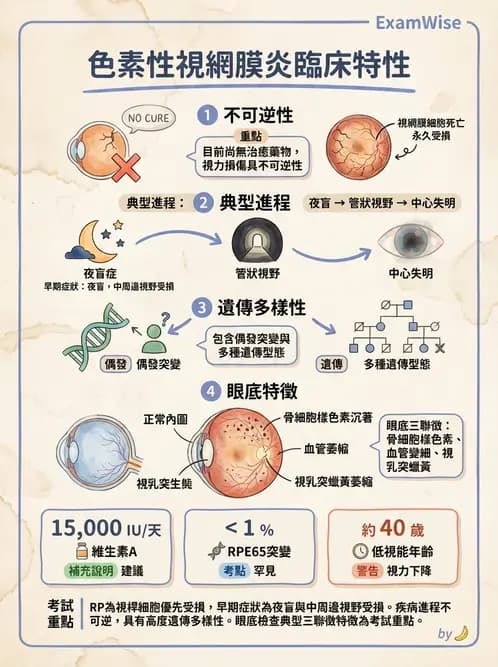 驗光生 - 視網膜與玻璃體疾病 - AI 圖文解析預覽