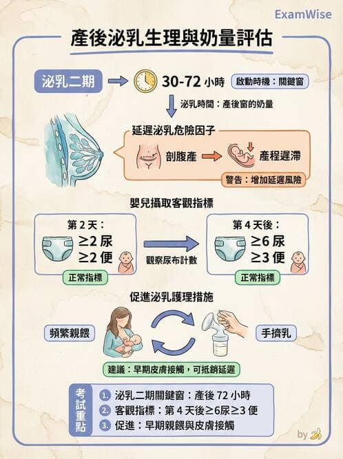 護理師 - 母乳哺餵 - AI 圖文解析預覽