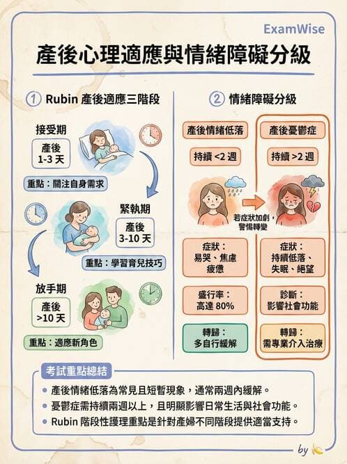 護理師 - 產後心理併發症與家庭計畫 - AI 圖文解析預覽