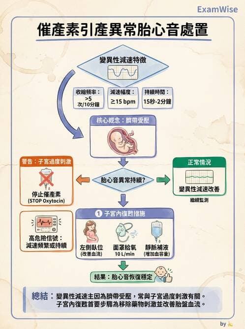 護理師 - 高危險妊娠 - AI 圖文解析預覽