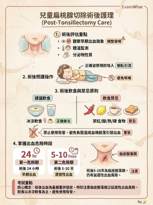 護理師 - 兒童呼吸系統疾病 - AI 圖文解析預覽