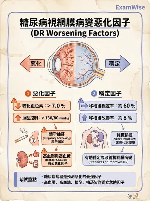 驗光生 - 視網膜與玻璃體疾病 - AI 圖文解析預覽