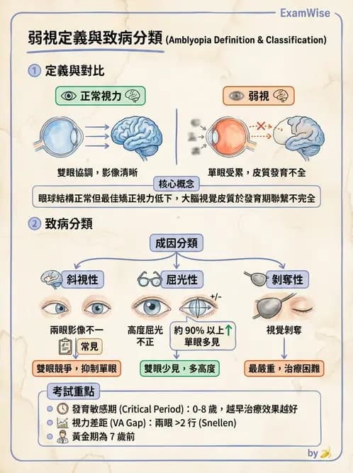 驗光生 - 兒童眼科(弱視、斜視與先天眼疾) - AI 圖文解析預覽