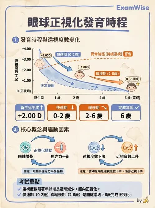 驗光生 - 近視與遠視的分類、成因及眼球光學基礎 - AI 圖文解析預覽