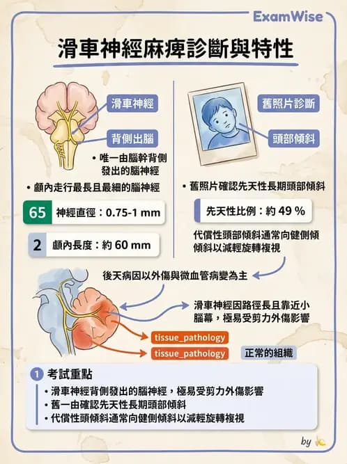 驗光生 - 全身性疾病眼部表現與神經眼科 - AI 圖文解析預覽