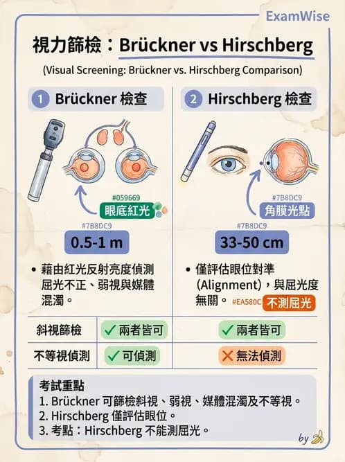 驗光生 - 眼位偏斜檢查 - AI 圖文解析預覽