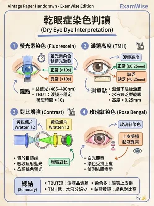 驗光生 - 眼前段檢查與角膜測量 - AI 圖文解析預覽