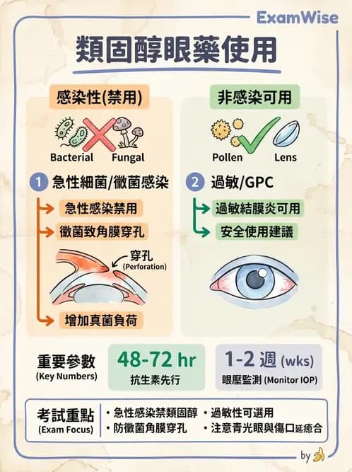 驗光生 - 感染性與炎症性角膜結膜炎 - AI 圖文解析預覽