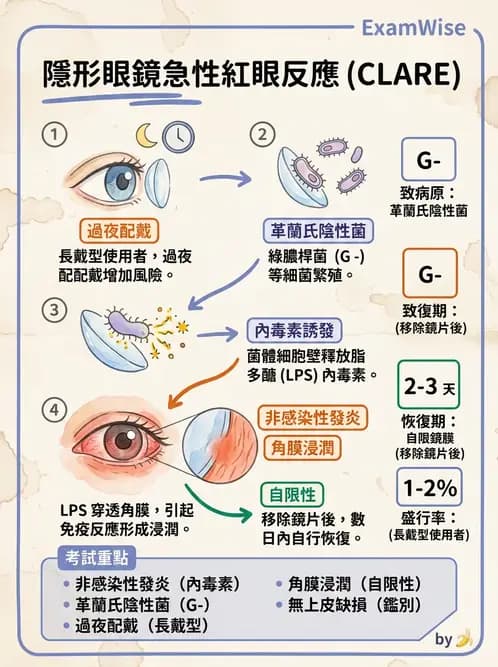 驗光生 - 感染性與炎症性角膜結膜炎 - AI 圖文解析預覽