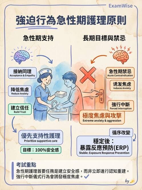 護理師 - 焦慮症與壓力相關障礙 - AI 圖文解析預覽