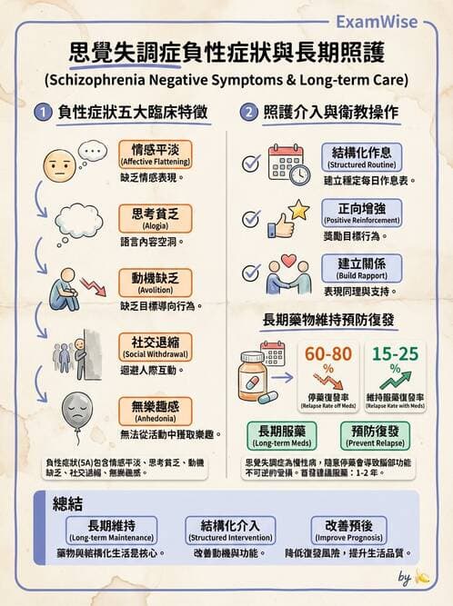 護理師 - 思覺失調症護理 - AI 圖文解析預覽