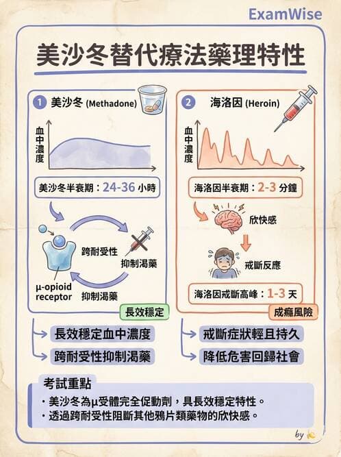 護理師 - 物質相關與成癮障礙 - AI 圖文解析預覽