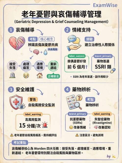 護理師 - 老年精神疾患 - AI 圖文解析預覽