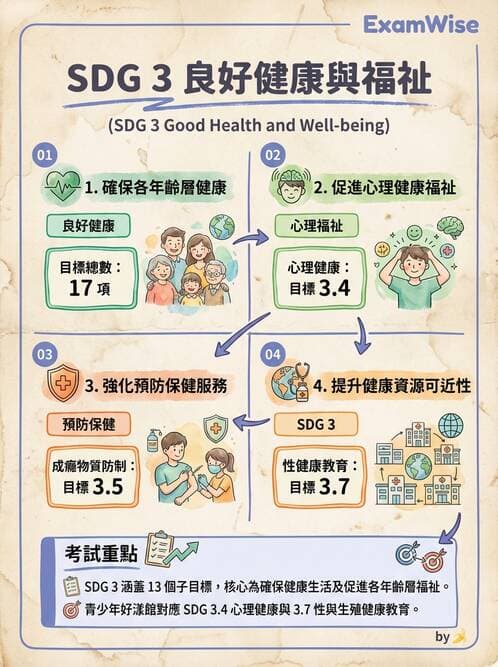 護理師 - 健康照護體系與健康政策 - AI 圖文解析預覽