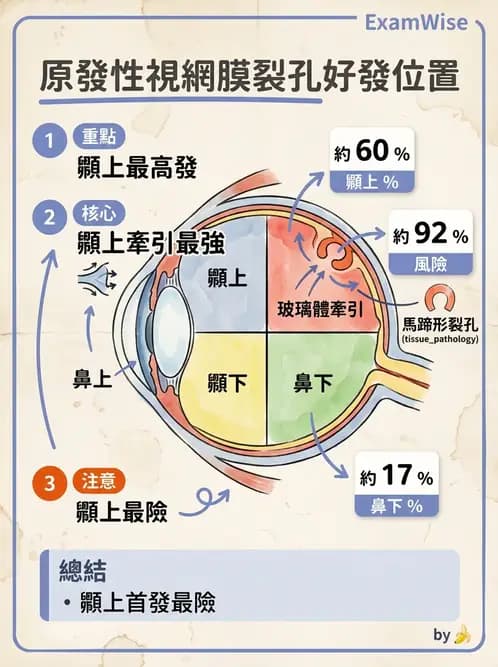 驗光生 - 視網膜與玻璃體疾病 - AI 圖文解析預覽