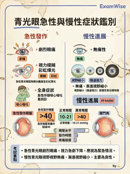 驗光生 - 青光眼與水晶體疾病 - AI 圖文解析預覽