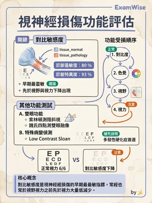 驗光生 - 視力表原理、記錄與對比敏感度 - AI 圖文解析預覽