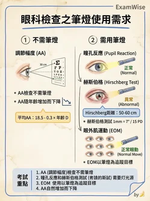 驗光生 - 眼球運動、內聚功能與瞳孔反應檢查 - AI 圖文解析預覽