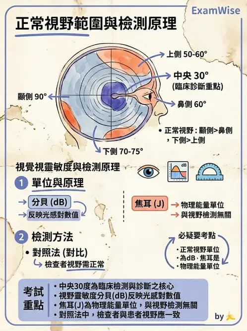 驗光生 - 針孔視力、色覺與視野篩檢 - AI 圖文解析預覽