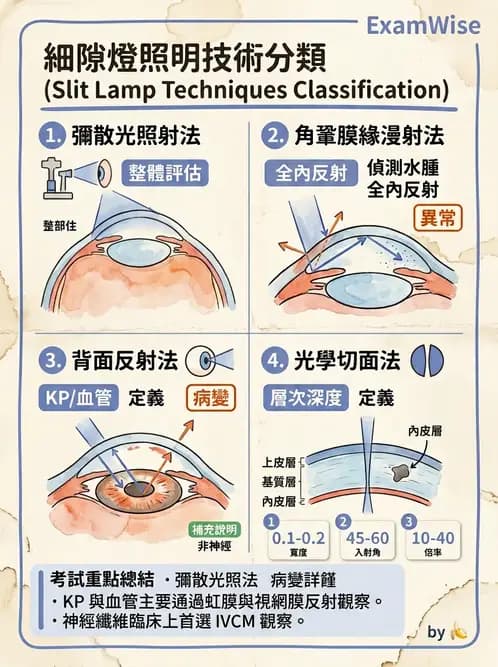 驗光生 - 眼前段檢查與角膜測量 - AI 圖文解析預覽