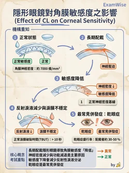 驗光生 - 乾眼、沉積物與結膜過敏反應 - AI 圖文解析預覽