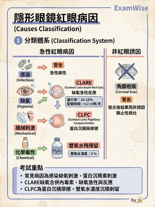驗光生 - 感染性與炎症性角膜結膜炎 - AI 圖文解析預覽