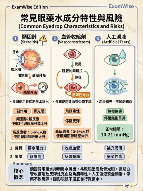 驗光生 - 乾眼、沉積物與結膜過敏反應 - AI 圖文解析預覽