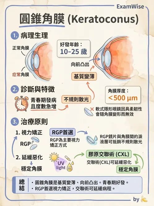 驗光生 - 乾眼、沉積物與結膜過敏反應 - AI 圖文解析預覽