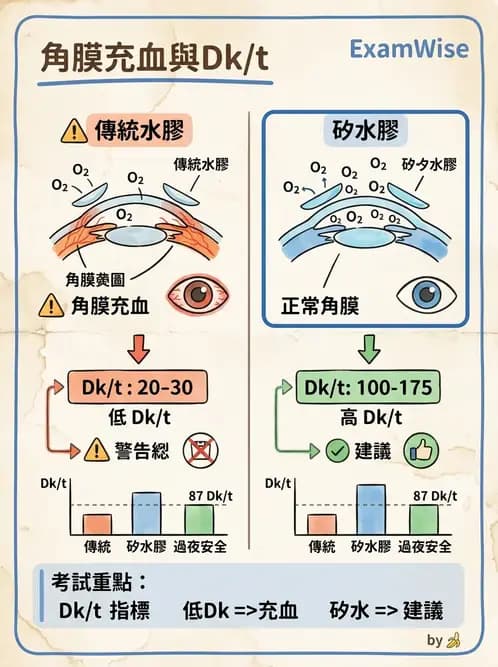 驗光生 - 角膜缺氧與結構性變化 - AI 圖文解析預覽