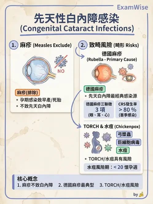 驗光生 - 青光眼與水晶體疾病 - AI 圖文解析預覽