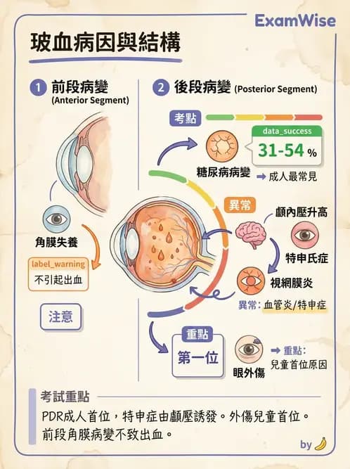 驗光生 - 視網膜與玻璃體疾病 - AI 圖文解析預覽