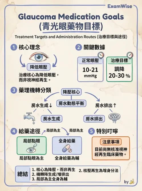 驗光生 - 青光眼與水晶體疾病 - AI 圖文解析預覽