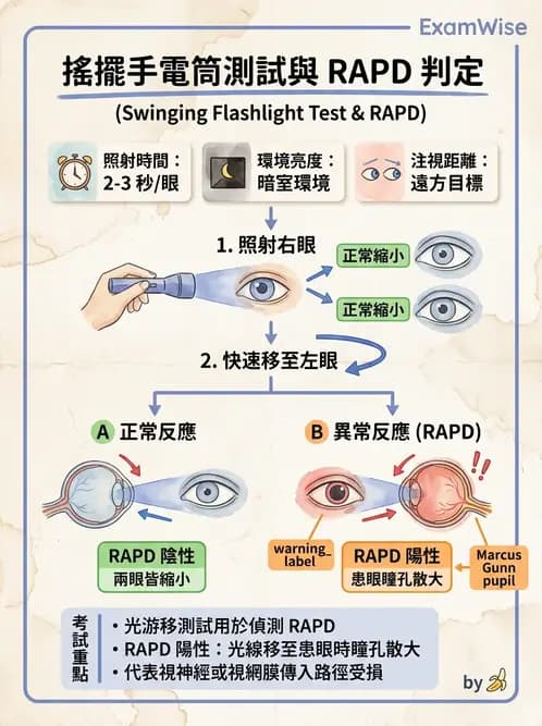 驗光生 - 眼球運動、內聚功能與瞳孔反應檢查 - AI 圖文解析預覽