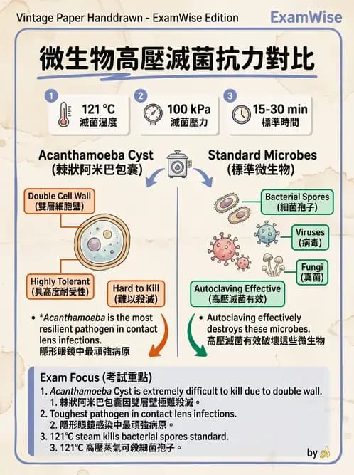 驗光生 - 隱形眼鏡消毒系統與感染控制 - AI 圖文解析預覽