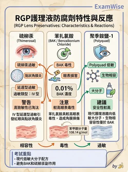 驗光生 - 隱形眼鏡護理液成分與防腐劑 - AI 圖文解析預覽