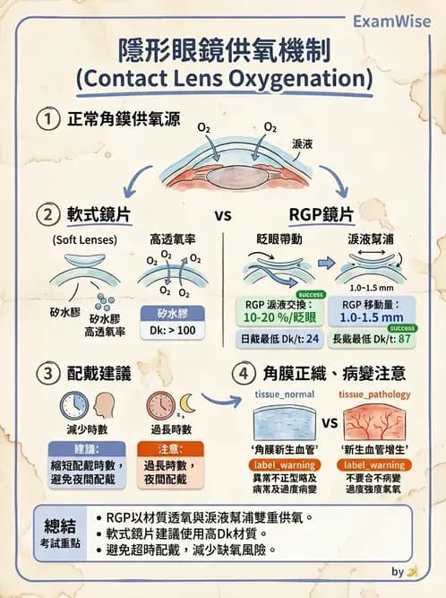 驗光生 - 角膜缺氧與結構性變化 - AI 圖文解析預覽
